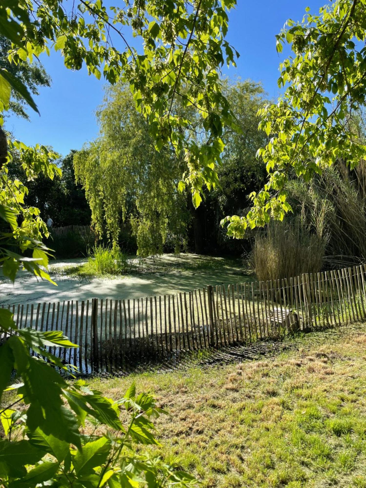 Instant Zen Bed and Breakfast Saint-Vivien-de-Médoc Buitenkant foto